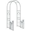vidaXL Arche de jardin avec verrouillage Noir 102 x 50 x 218 cm