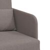 vidaXL Canap&eacute;-Lit 60cm Taupe tissu