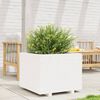 vidaXL Jardini&egrave;re blanc 60x60x49,5 cm bois de pin massif