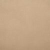 vidaXL Fleece de protection des plantes contre le gel Beige 20 x 3,2 m
