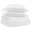 vidaXL Duvet d'hiver avec oreiller 3 pi&egrave;ces Blanc Plume de canard
