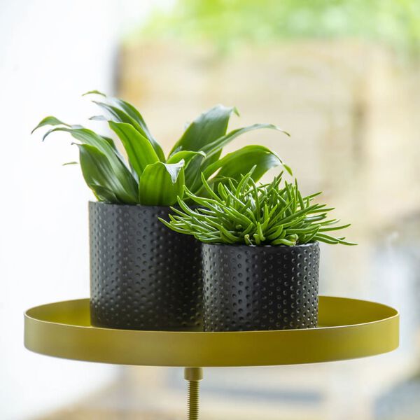 Esschert Design Plateau pour plantes avec pince Rond Doré L