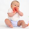 d&euml;na Ensemble de jouets en silicone Neon 6 pcs