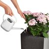 LECHUZA Jardini&egrave;re CANTO Stone 30 High ALL-IN-ONE Noir graphite
