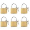 vidaXL U Lock avec Cl&eacute;s 6 pi&egrave;ces Laiton Fer