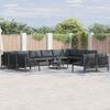 vidaXL Ensemble de canap&eacute; de jardin avec coussin 13 pcs Noir Acier