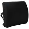 vidaXL Coussin de Dos avec oreiller Noir 35,5 x 30 x 12 cm Avec filet