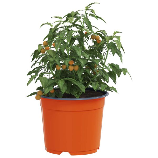vidaXL Pot &agrave; fleurs 100 pcs C&eacute;ramique &Oslash; 15 x 12,5 cm Plastique