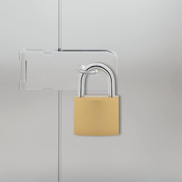 vidaXL U Lock avec Cl&eacute;s 100 pcs Laiton Fer