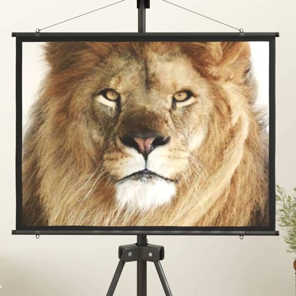 Affichage de l&rsquo;image produit 2 sur 7
