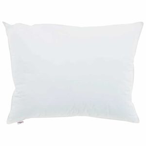 vidaXL Oreiller avec oreiller 2 pcs Blanc 30 x 50 cm Coton