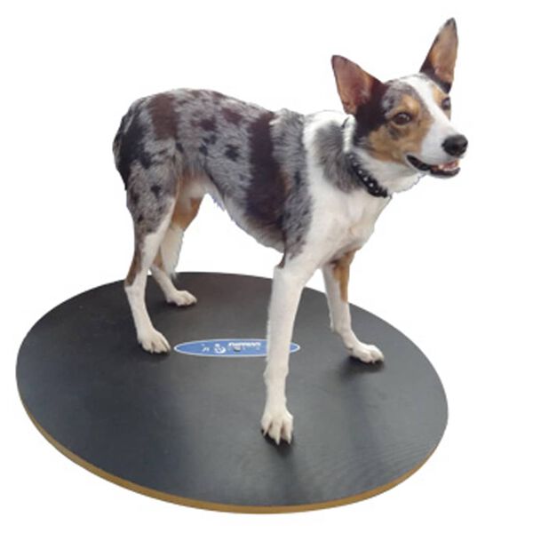 FitPAWS Plateau d'&eacute;quilibre 50 cm Noir