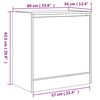 vidaXL Armoire &agrave; chaussures noir 60x34x63,5 cm bois d'ing&eacute;nierie