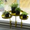 Esschert Design Plateau pour plantes avec pince Rond Dor&eacute; M