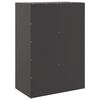 vidaXL Buffet haut noir 67x39x95 cm acier