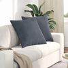 vidaXL Coussins de canap&eacute; 2 pcs Gris fonc&eacute; 60 x 60 cm