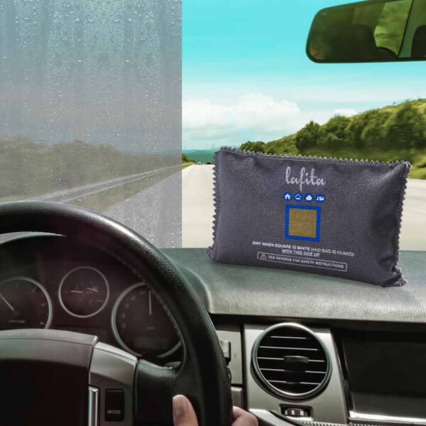 Lafita D&eacute;shumidificateurs r&eacute;utilisables pour voiture 2 pcs 400 g