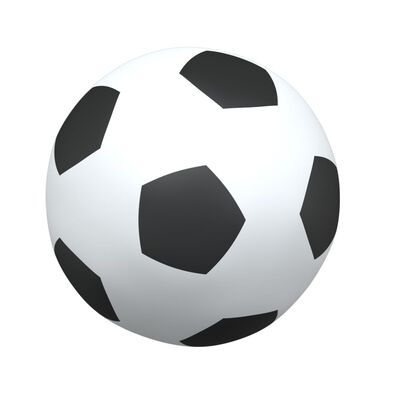 vidaXL But de football pour enfants avec ballons 2 en 1 blanc
