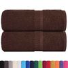 vidaXL Serviettes de toilette FROGN 2 pi&egrave;ces Marron 30x30 cm 360 g/m&sup2;