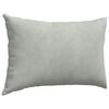 vidaXL Coussins de canap&eacute; 2 pcs Gris clair 60 x 40 cm