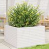 vidaXL Jardini&egrave;re blanc 80x80x46 cm bois de pin massif