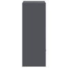 vidaXL Bo&icirc;te de d&eacute;p&ocirc;t de colis Anthracite 41 x 38 x 103 cm Acier