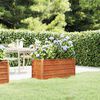 vidaXL Lit sur&eacute;lev&eacute; de jardin rouill&eacute; 100x40x45 cm acier corten