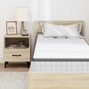 vidaXL Matelas Blanc et Gris 80 x 200 cm Printemps Bonell