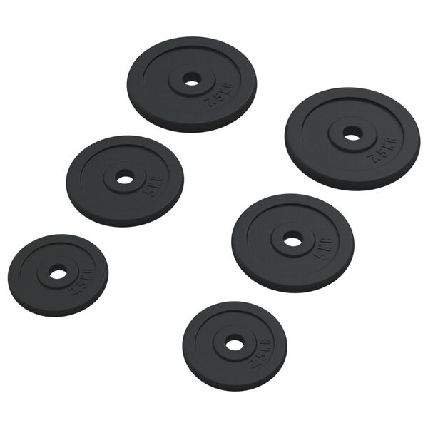 vidaXL Plaques de poids 6 pcs 30 kg Fonte