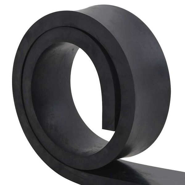 vidaXL Bordure en caoutchouc de chasse-neige noir 180x10x2 cm