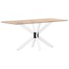 vidaXL Pied de table &agrave; manger en forme d'araign&eacute;e, blanc, 120 x 68 x (72-73) cm, acier