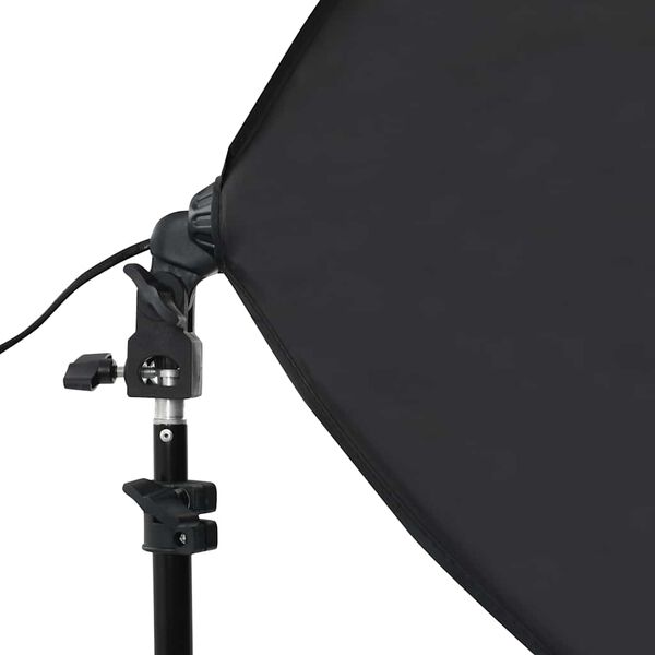 vidaXL Lampes de studio professionnelles 2 pcs 40x60 cm Acier Noir