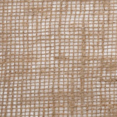 vidaXL Rouleau de jute 1x50 m 100 % jute 200 g/m²