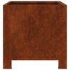vidaXL Jardini&egrave;res 2 pcs 30x30x30 cm acier r&eacute;sistant aux intemp&eacute;ries