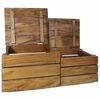 vidaXL Ensemble de caisse de rangement 2 pcs bois d'acajou massif