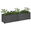 vidaXL Jardini&egrave;re Gris 200x50x50 cm Bois de pin solide
