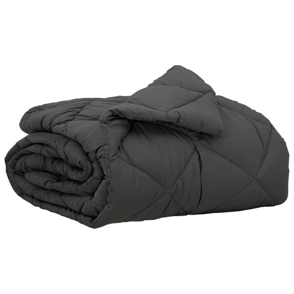 vidaXL Duvet d'&eacute;t&eacute; simple Anthracite 220 x 155 cm Microfibre