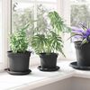 vidaXL Pot &agrave; fleurs rond 6 pcs Noir &Oslash; 12,5 x 10 cm Plastique