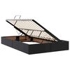 vidaXL Lit avec rangement et LED Noir 120 x 200 cm Simili cuir