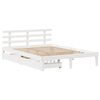 vidaXL Cadre de lit avec tiroirs sans matelas blanc 120x190 cm