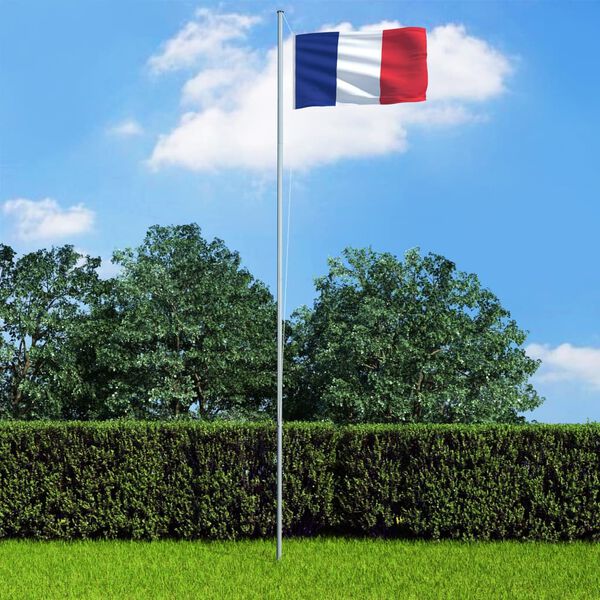 vidaXL Drapeau fran&ccedil;ais 90x150 cm