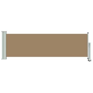 vidaXL Auvent lat&eacute;ral Rectangulaire 100 x 300 cm