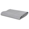 vidaXL B&acirc;che 650 g / m&sup2; 4x5 m Gris