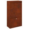 vidaXL Bo&icirc;te de d&eacute;p&ocirc;t de colis Rouill&eacute; 44 x 22 x 82 cm Acier patin&eacute;