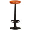 vidaXL Chaises de bar lot de 2 cuir v&eacute;ritable