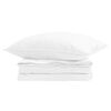 vidaXL Duvet 2-en-1 avec oreiller 2 pcs Blanc Plume de canard