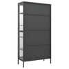 vidaXL Vitrine d'exposition Anthracite 90x40x180 cm Acier/verre tremp&eacute;