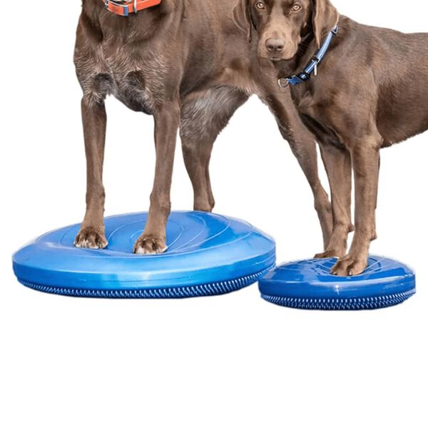 FitPAWS Disque d'&eacute;quilibre pour animaux de compagnie 56 cm Bleu