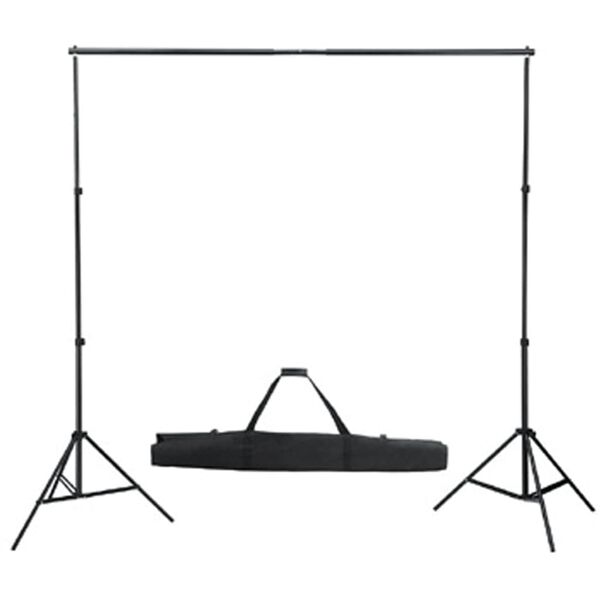vidaXL Syst&egrave;me de support de toile de fond 300 x 300 cm Noir