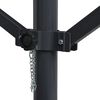 vidaXL Auvent sur pied 500 x 300 cm Anthracite